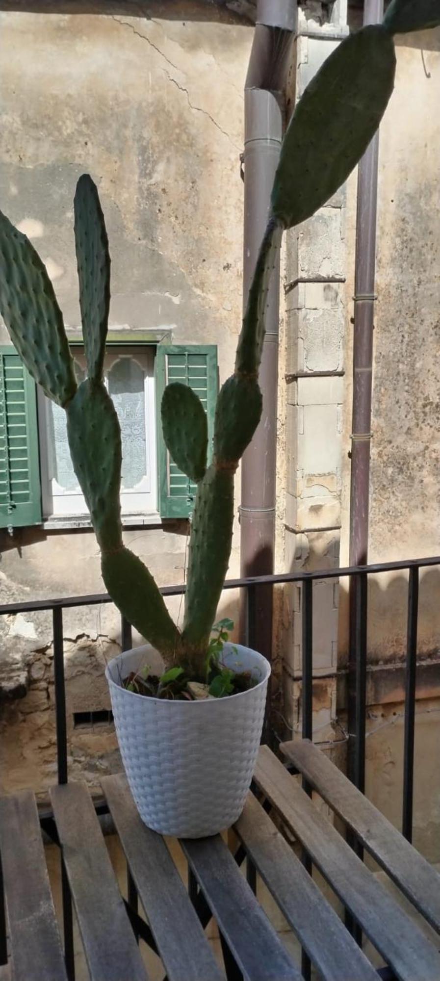 Residenza Donnafugata B&B 拉古萨 外观 照片